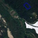 여주-0055 이미지