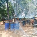 대도체육관 이미지