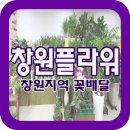 명곡동285 이미지