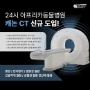 Dr.수 동물병원 | 선부동물병원 강아지 복합골절 대처하는 방법을 알려드릴게요.
