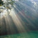 높은음자리 이미지