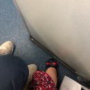 돈이요족발 이미지