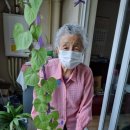 동부가든 이미지