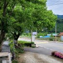 브리지데이 이미지