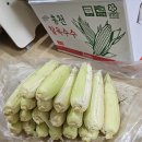 태양농산 | 맛있는옥수수 강원도찰옥수수 택배구매는 태양농산