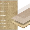 Sera(세라)