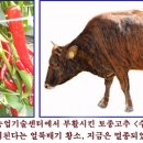 독자얼레빗 19. 토종씨앗 멸종의 역사 이미지