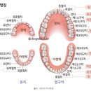 명칭 티스토리