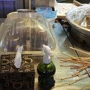 올래떡볶이 이미지