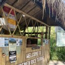 주스&라이스 | 발리 시데멘 라이스 테라스 가는 법, 가격, 트레킹 후기 총정리