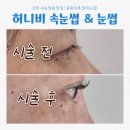 진주속눈썹펌 잘하는곳! 허니비 눈썹&amp;속눈썹 솔직후기