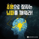 케이조명 이미지