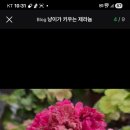 별몽 이미지