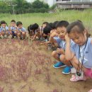 이노필유치원 이미지