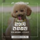 스마트동물병원군자점 이미지