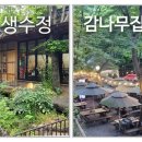 가창 닭갈비 애견동반식당 감나무집 vs 생수정 내돈내산 맛집 비교 후기