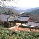 순천-58호 이미지