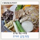 코끼리셀프 | 대구 장기동 가성비 맛집 옛날 소막창 코끼리 곱창 막창 방문후기