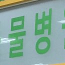 부여동물병원 세계일보