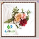 함지노인복지관 Daum카페