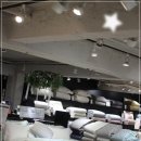 (주)솜바이오 이미지