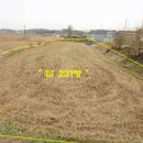 포승중학교 이미지