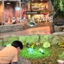 벅스(주) | 인천 서창 실내동물원 아이와함께 가볼만한 곳 특별한 체험 가능한 쥬벅스 앤 쥬니멀