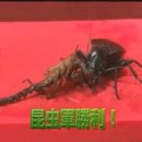 스미시