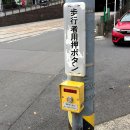 안경산책 이미지