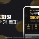 골드인사이트 이미지