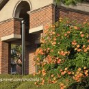 태현공원앞 이미지