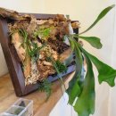 오륜대로 | 부산테라리움 원데이클래스 제이드앤 후기 금정구 이색 취미 체험