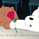 보통의케이크