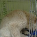 (주)맑은교통 이미지