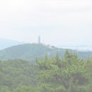 숲속의 산책 이미지