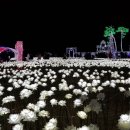 보성오토 이미지