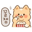 BOB애견용품
