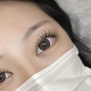 다뷰래쉬 이미지