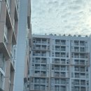 국동 장어탕, 횟집거리 이미지