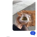 우리들마트리더점 | 나는 내 모든 세포들의 리더이니까 나 자신을 너무 미워하지 말자