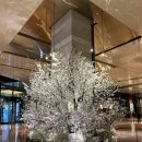 야외수영장 | [제주] 제주 그랜드 하얏트 숙박 후기 실내 야외 수영장 후기