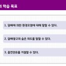 석암초등학교 이미지
