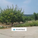 바다애 부동산중개사무소 이미지