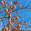 새재마당바위 이미지