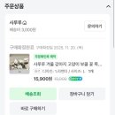 꽃강아지 | [내돈내산] 사루루 고양이 강아지 겨울 꽃 목도리 구매 및 송삼이 착용 후기