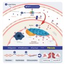 (주)브릿지 이미지
