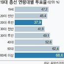 19대 총선 연령대별 투표율 - 대구 투표율 이미지