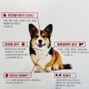 푸우동물병원 이미지