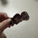 멍멍이 다과점 이미지