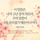 시편나라 네이버블로그